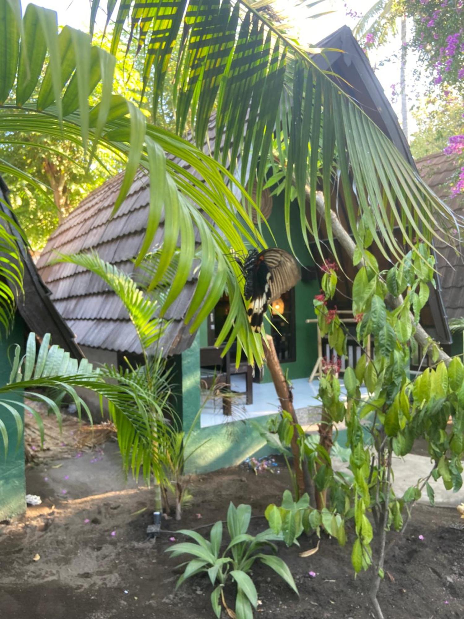 Mowglis Gili Air Hotel Exterior photo
